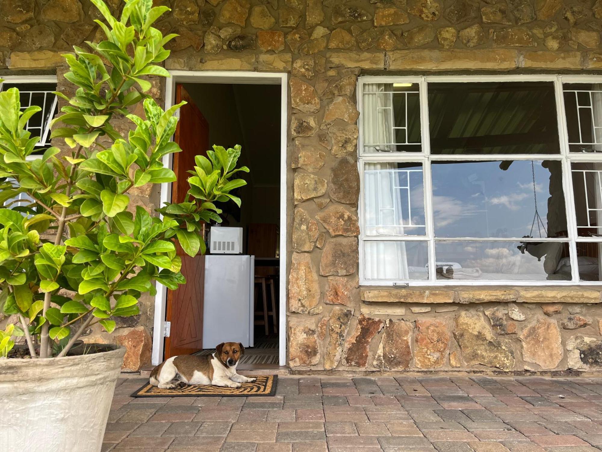 Uitzicht Private Nature Reserve And Lodge Fouriesburg Δωμάτιο φωτογραφία